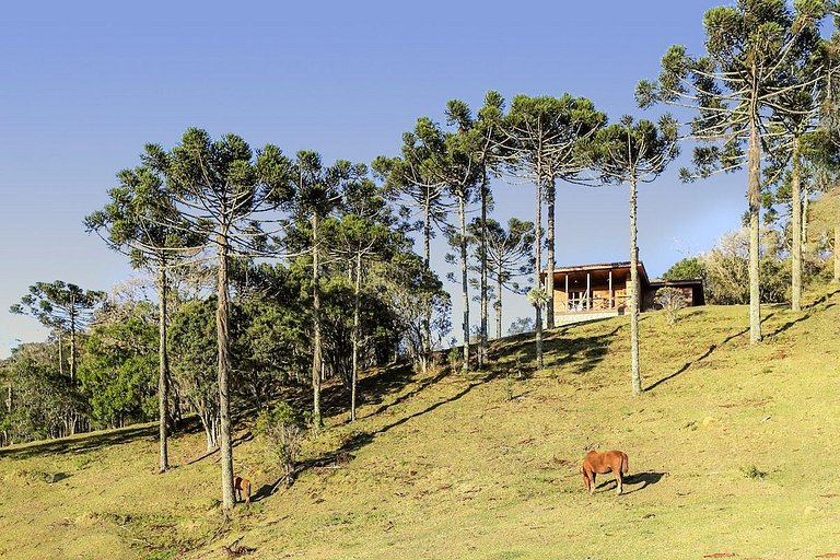 Colina das Araucárias Natureza Família Serra - Perfeita Casa